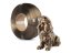 Filament Spectrum SILK Cinnamon Bronze Refill