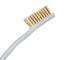 Brass brush